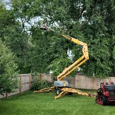 Lawn Renovation and Restoration in Mount Kisco, NY